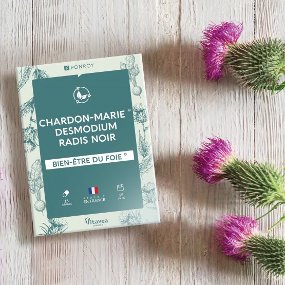 Chardon-Marie - Desmodium - Radis noir